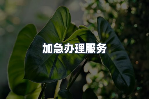 加急办理服务