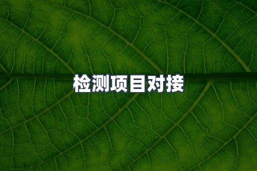 检测项目对接